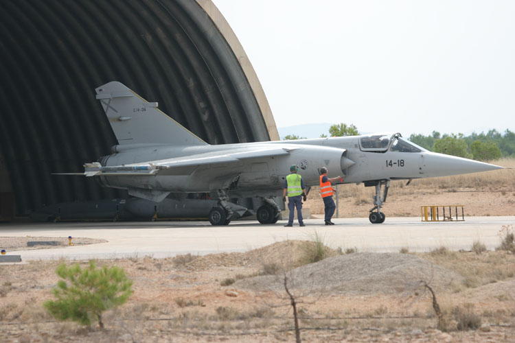 C.14-36 14-18 Ala 14 Mir F1 M