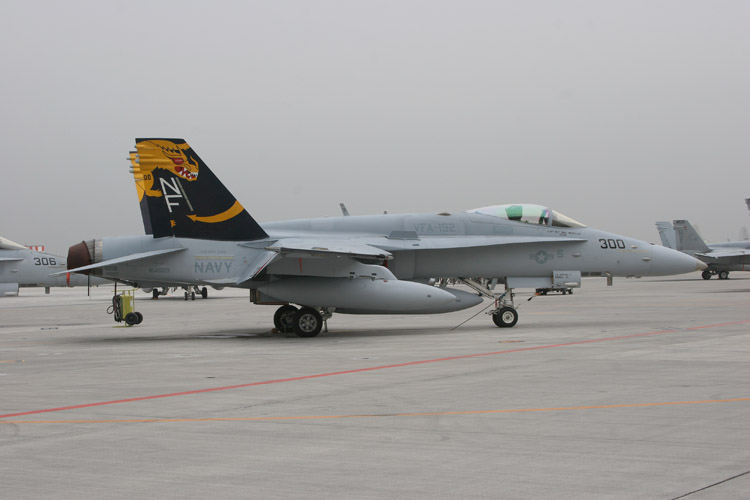 164029 NF-300 VFA-192 F/A-18C USN